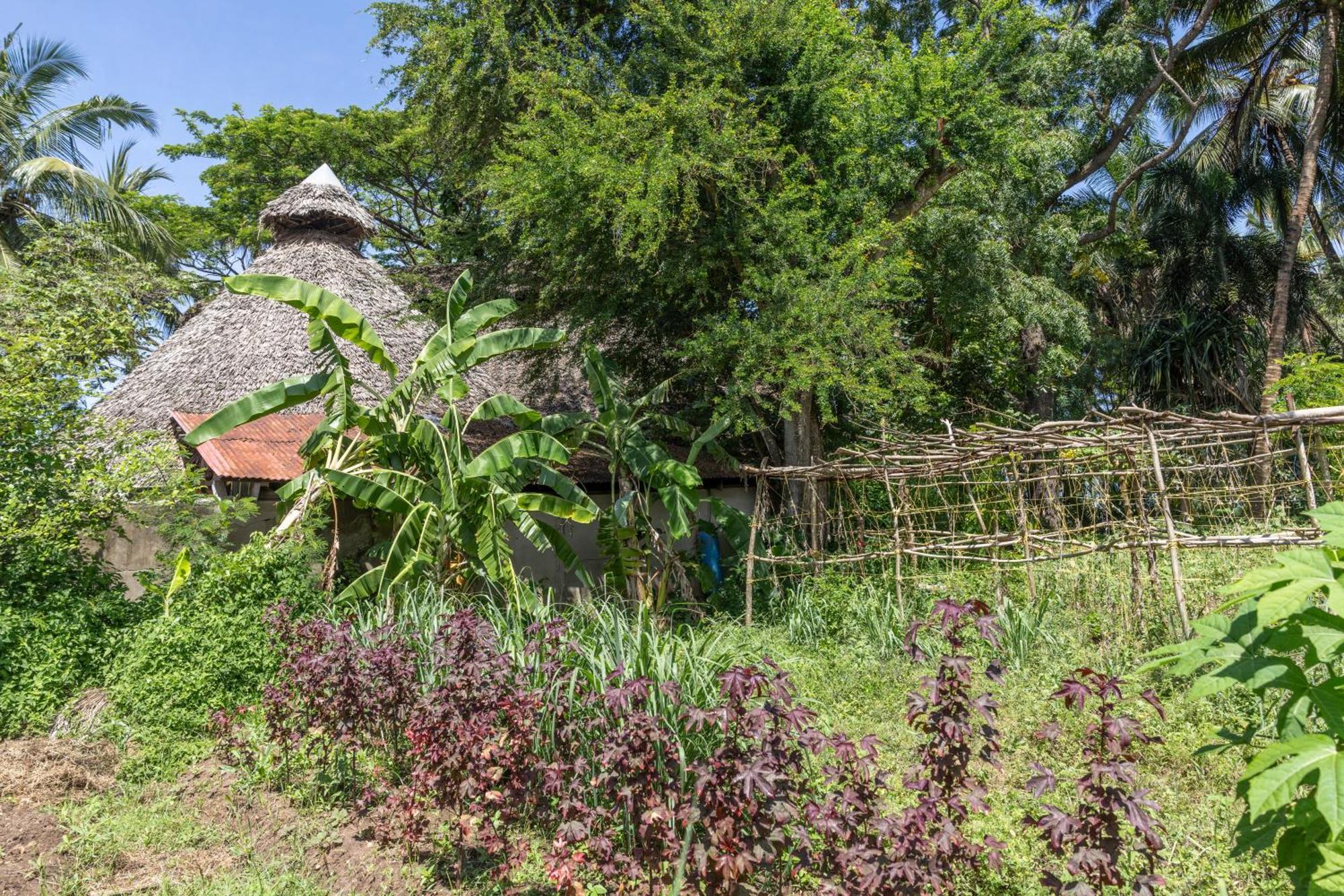 Mbweni Ruins & Gardens Previously Jungle Paradise Zanzibar Zewnętrze zdjęcie