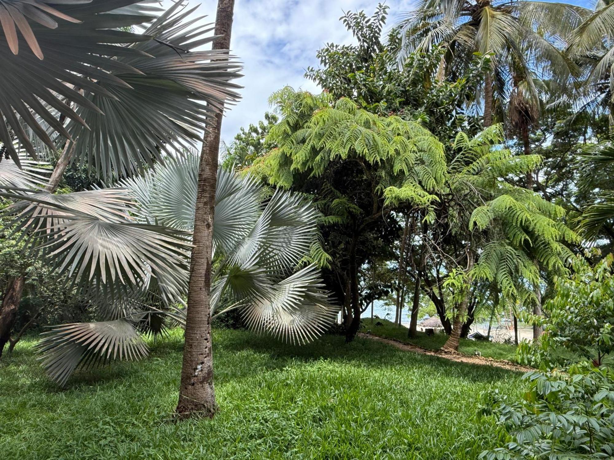 Mbweni Ruins & Gardens Previously Jungle Paradise Zanzibar Zewnętrze zdjęcie
